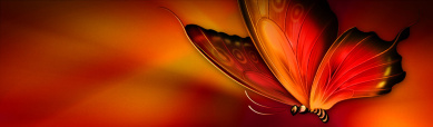 awesome-red-butterfly-artistic-website-header