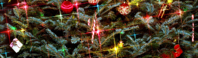 sparkly-christmas-accessories-header