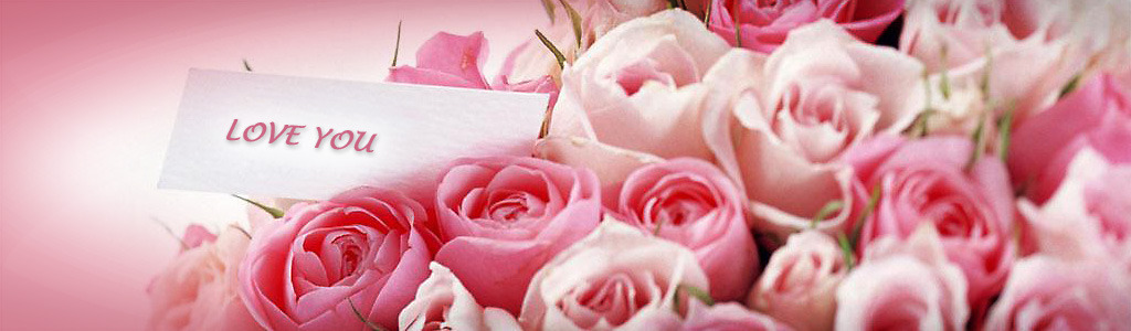 love-and-romance-pink-flowers-website-header