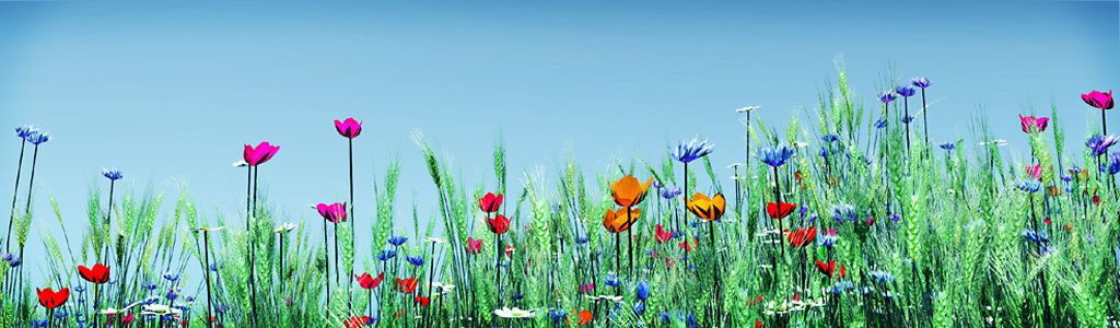 flowers-assortment-illustration-header