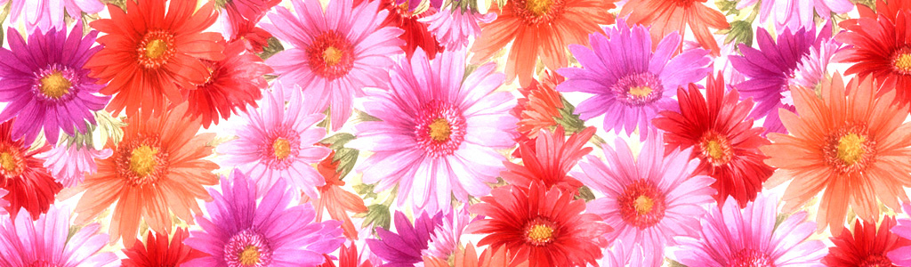 flowers-collection-header