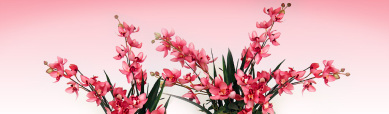 pink-artificial-flowers-website-header