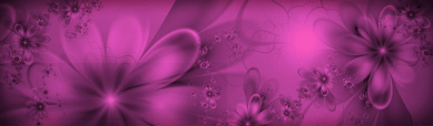 pink-dreamy-flowers-header