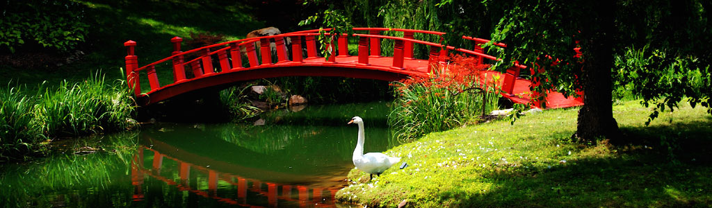 chinese-garden-with-bridge-and-white-goose-header