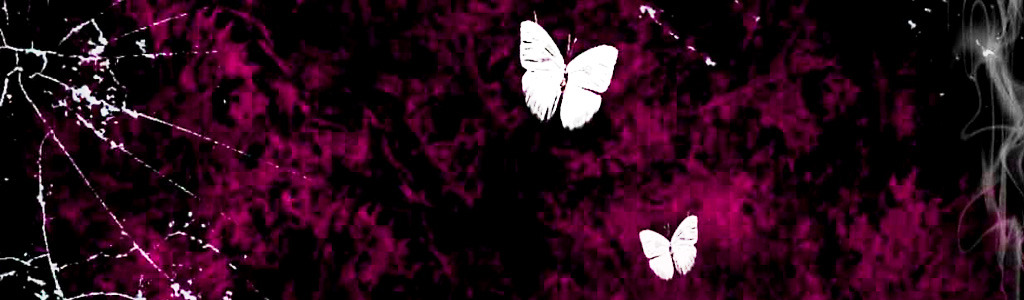 white-butterflies-on-pink-black-girly-background-header