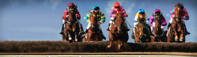 horse-jump-racing-header