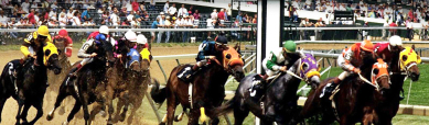 horse-race-game-header