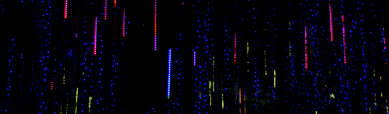 colorful-blurred-lights-website-header