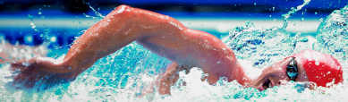 swimming-champions-race-header