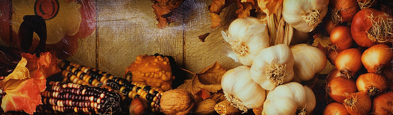 thanksgiving-celebration-harvest-day-website-header