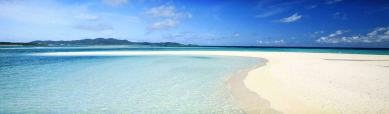 clean-sea-coast-and-clear-water-website-header