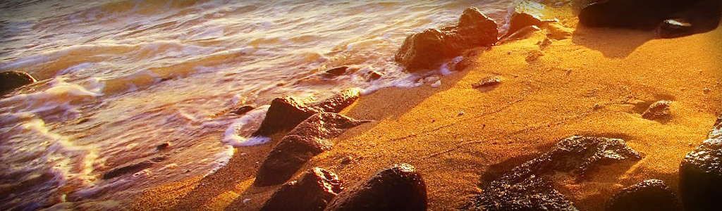 sea-coast-and-golden-sand-website-header